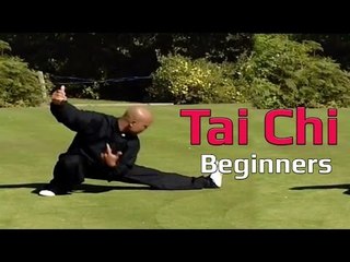 Tai chi chuan for beginners - Taiji Canon Fist Chen Style 1 Part 7