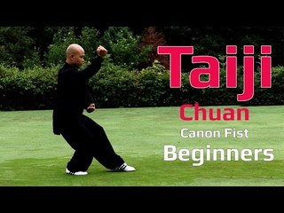 TaiJi chuan for beginners -Tai Chi Canon Fist 2 Chen style Lesson 5