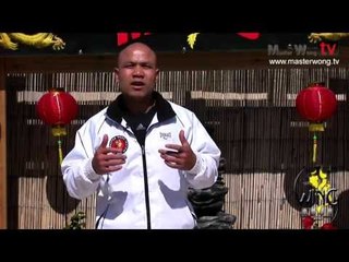 Wing Chun energy drill basic training - Lesson 44. Combo drill 16