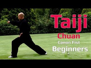 TaiJi chuan for beginners -Tai Chi Canon Fist 2 Chen style Lesson 4