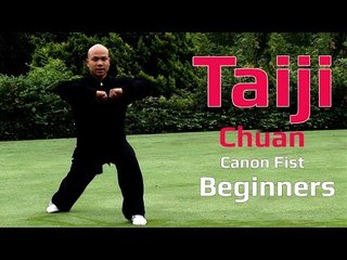 TaiJi chuan for beginners -Tai Chi Canon Fist 2 Chen style Lesson 8