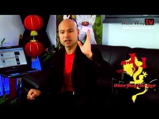 The master Wong show  28 - What other MA best compliment your style in wing chun