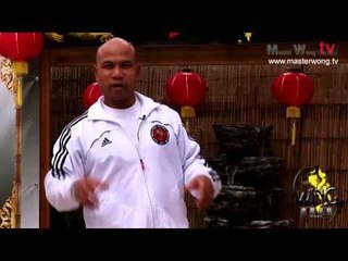 Wing Chun Chi Sao - Body punch and hit Lesson 21