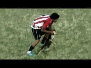 Footballer throws dog into fence - SHOCKING footage