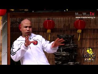 Wing Chun Chi Sao -  (grab and kick to the leg) Lesson 25