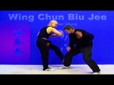 Wing Chun kung fu - wing chun Biu Jee Lesson 1