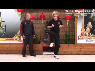 Wing Chun Mini Course Lesson 2