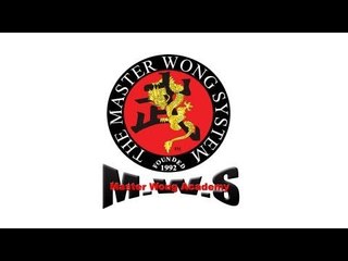 Master Wong Grading report for WC1 004 sil Lim Tao full form