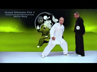 Tai Chi Combat Tai Chi Chuan Fight Style - Lesson 4