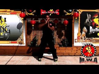 Wing Chun module 1 level 1 grading (Evan)