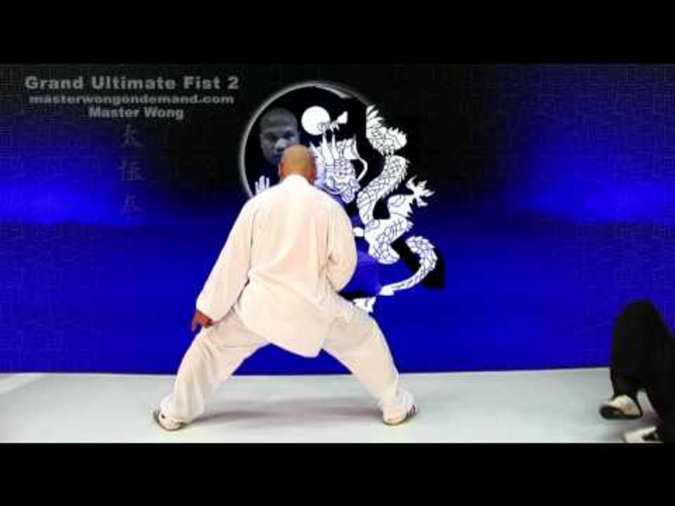 tai chi push hands tai chi chuan fight style use tai chi - Lesson 6