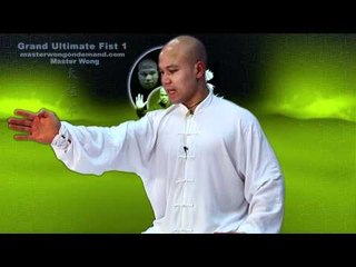 Tai Chi Combat Tai Chi Chuan Fight Style - Lesson 5