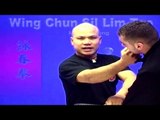 Wing Chun kung fu - wing chun  siu lim tao Lesson 2