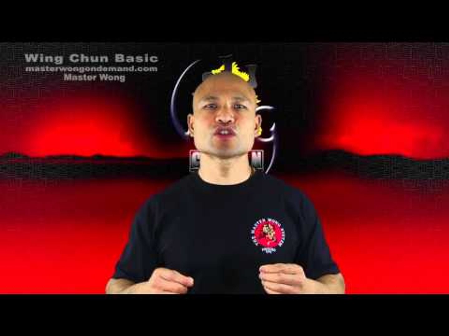 ⁣Wing Chun Mini Course Free