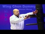 wing chun dummy training wooden dummy - Lesson 4