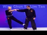 Wing Chun kung fu - wing chun  siu lim tao lesson 5