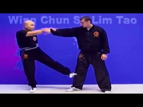Wing Chun kung fu - wing chun siu lim tao lesson 5