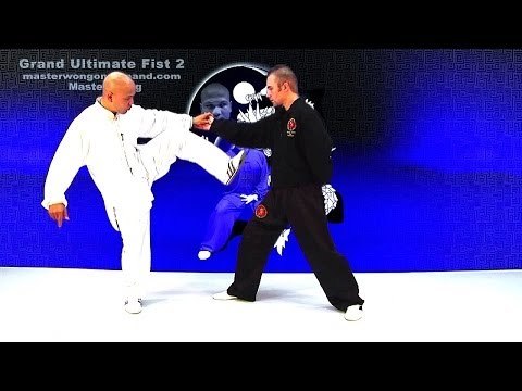 tai chi push hands tai chi chuan fight style use tai chi - Lesson 1
