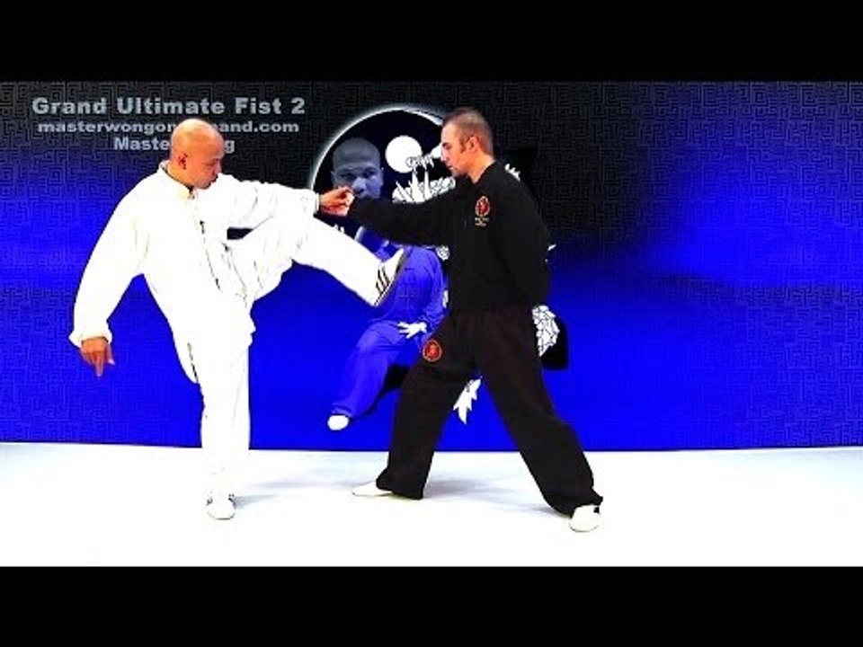 tai chi push hands tai chi chuan fight style use tai chi - Lesson 1