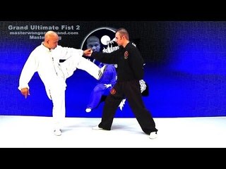 tai chi push hands tai chi chuan fight style use tai chi - Lesson 1