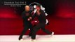 Tai chi combat tai chi chuan fight style use chen tai chi – lessons 3