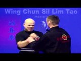 Wing Chun kung fu - wing chun  siu lim tao lesson 7