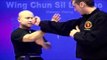 Wing Chun kung fu - wing chun  siu lim tao Lesson 1