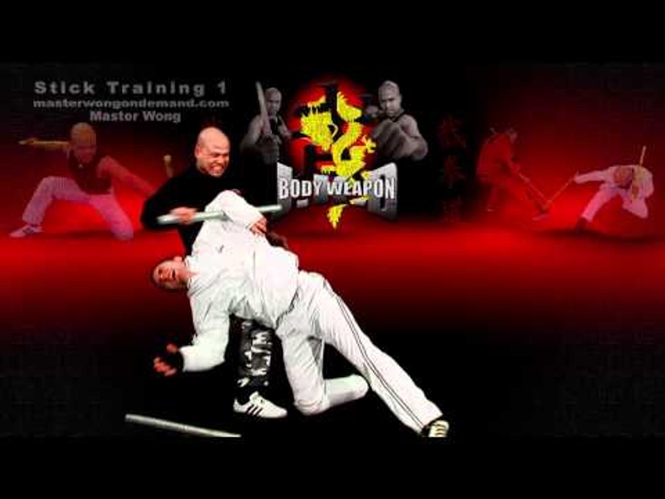 Stick Training Demo