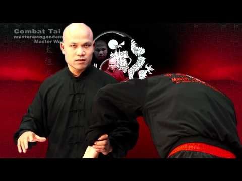 Tai chi combat tai chi chuan fight style use chen tai chi – lesson 7