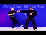Wing Chun kung fu - wing chun  siu lim tao lesson 9