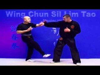 Wing Chun kung fu - wing chun  siu lim tao lesson 9