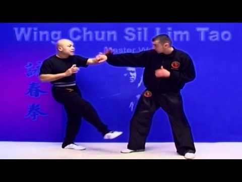 Wing Chun kung fu - wing chun siu lim tao lesson 9