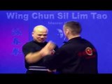 Wing Chun kung fu - wing chun  siu lim tao lesson 10