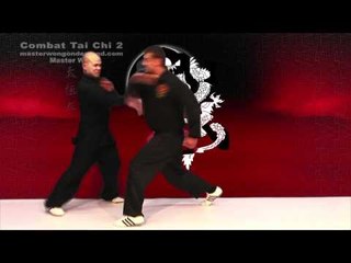 Tai chi combat tai chi chuan fight style use chen tai chi – lesson 8