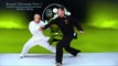 Tai Chi combat tai chi chuan fight style use tai chi - lesson 13