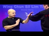 Wing Chun kung fu - wing chun  siu lim tao lesson 12