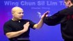 Wing Chun kung fu - wing chun  siu lim tao lesson 12