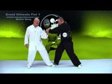 Tai Chi combat tai chi chuan fight style use tai chi - lesson 8