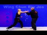 Wing Chun kung fu - wing chun Biu Jee Lesson 18