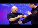 Wing Chun kung fu - wing chun  siu lim tao lesson 13