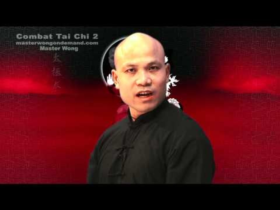 Tai chi combat tai chi chuan fight style use chen tai chi – lesson 14