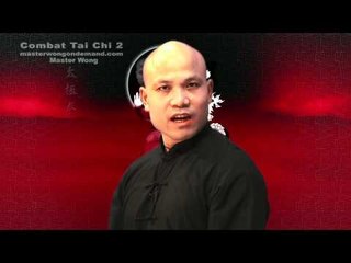 Tai chi combat tai chi chuan fight style use chen tai chi – lesson 14
