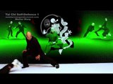 Tai Chi self defence taiji chuan - lesson 5