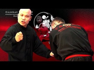 Descargar video: Tai chi combat tai chi chuan fight style use chen tai chi – lesson 6