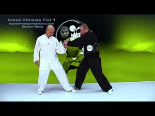 Tai Chi combat tai chi chuan fight style use tai chi - lesson 15