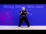 Wing Chun kung fu - wing chun Biu Jee Lesson 19