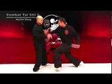 Tai chi combat tai chi chuan fight style use chen tai chi – lesson 20