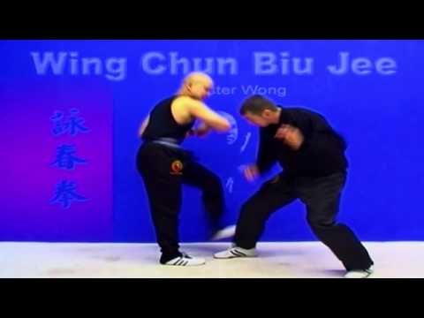 Wing Chun kung fu - wing chun Biu Jee Lesson 17