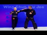 Wing Chun kung fu - wing chun Biu Jee Lesson 20