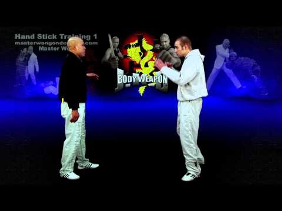 How to use Hand Stick weapon Lesson 7